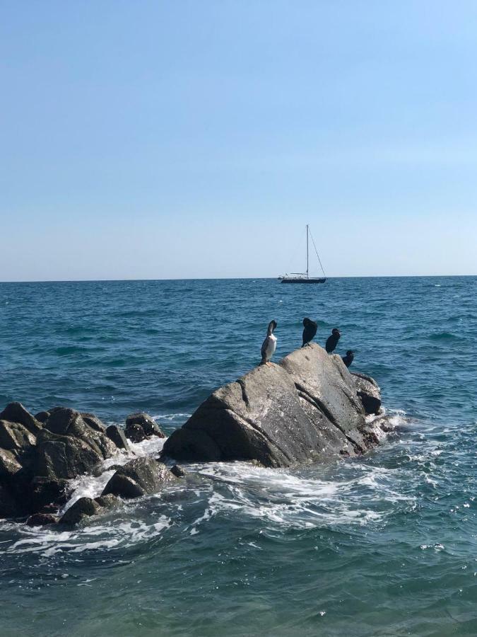 White Stones Beach In Sant Pol De Mar Εξωτερικό φωτογραφία